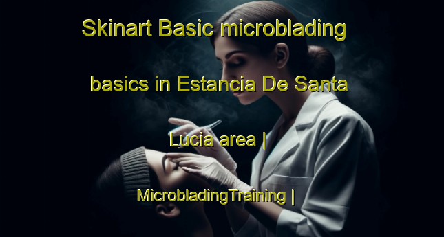 Skinart Basic microblading basics in Estancia De Santa Lucia area | MicrobladingTraining | MicrobladingClasses | SkinartTraining-Mexico